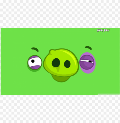 angry birds pig Transparent PNG Isolated Illustration