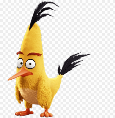 angry birds the movie chuck - angry birds film chuck PNG transparent photos massive collection
