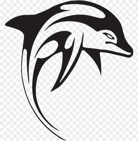 angry dolphin swim animal aquatic swimming - dolphin black and white vector PNG for personal use