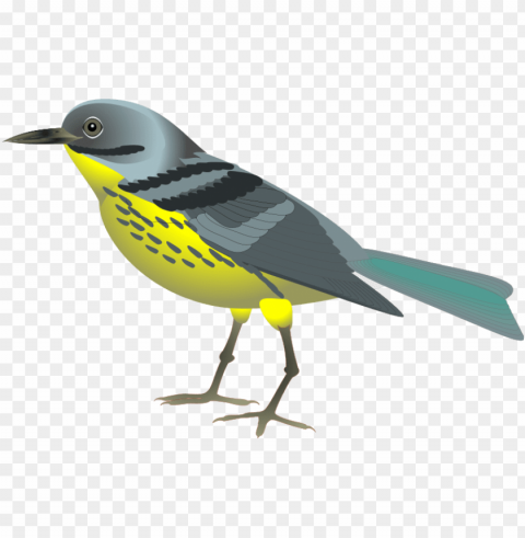 animal and birds PNG photo