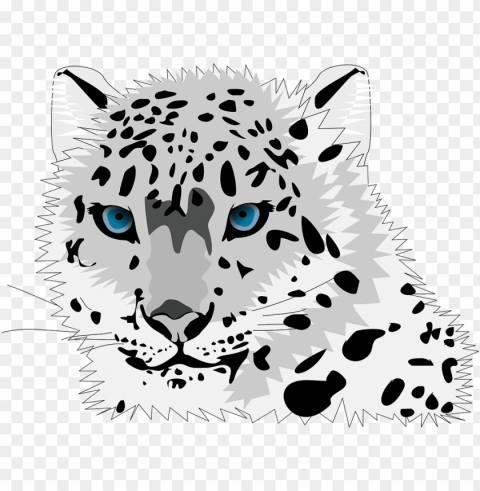 animal cat leopard snow leopard wild cat c - cartoon snow leopard face Isolated Item on HighResolution Transparent PNG