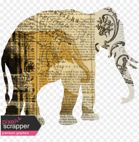 animal kingdom Isolated Artwork in HighResolution PNG PNG transparent with Clear Background ID 8c744b1e