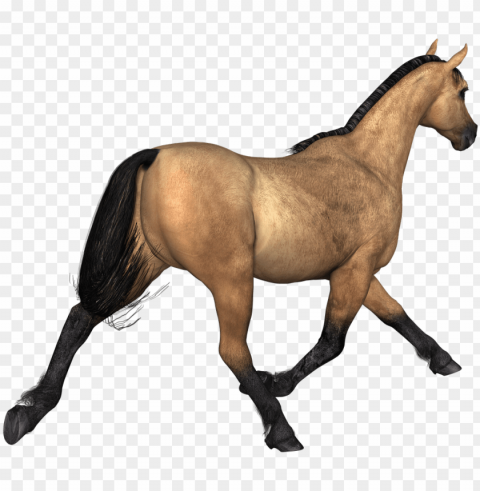 animals - horse Transparent PNG images bulk package