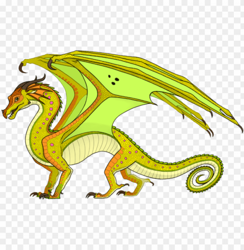 animus dragons - rainwing dragon wings of fire PNG design