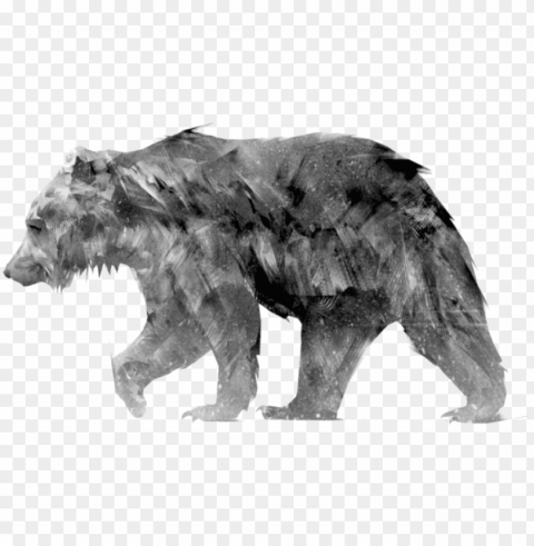 animus - grizzly bear Transparent Background Isolated PNG Figure