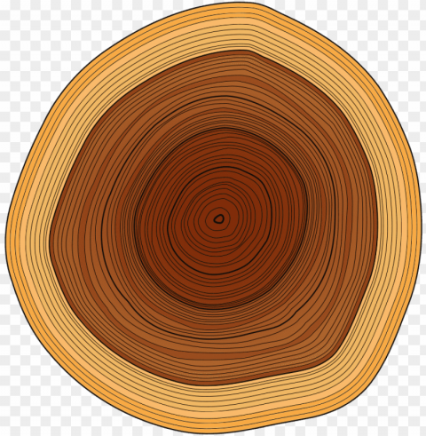 annual rings image royalty free - wood log vector PNG Isolated Object with Clarity