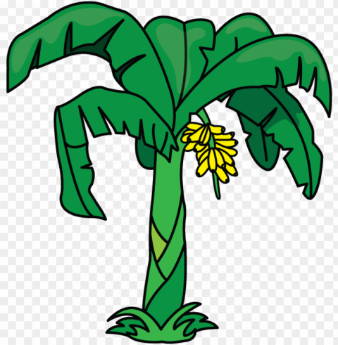 another tutorial in flowers and plants category is - banana tree drawing easy Transparent background PNG stock