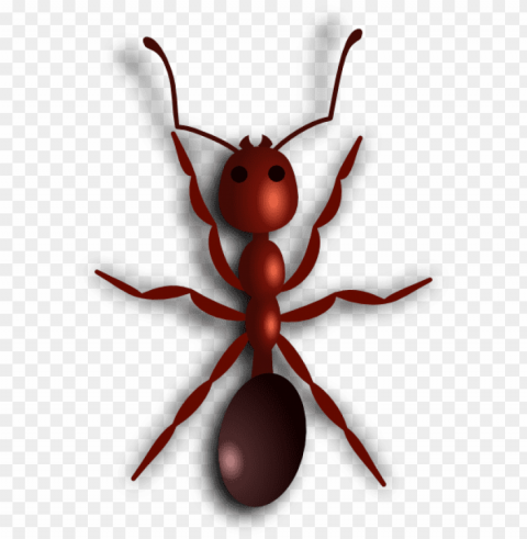 ant cartoon - ant clip art PNG picture
