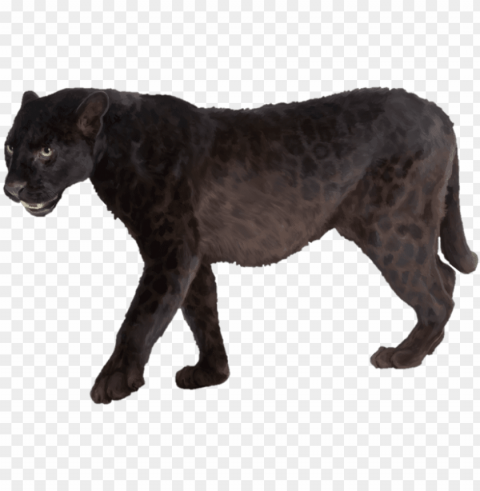 anther transparent picture - panther Clean Background Isolated PNG Character