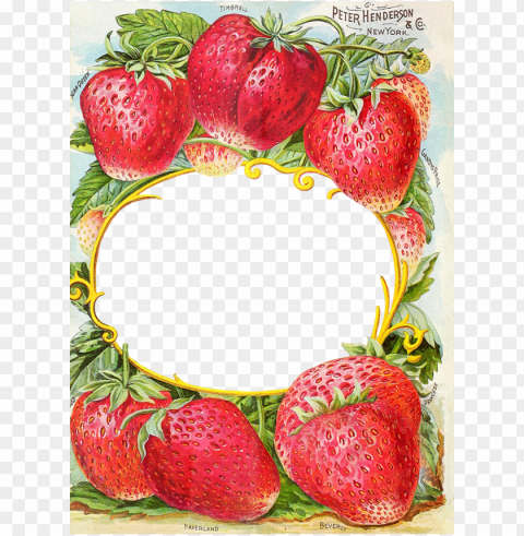 antique catalog reinvented henderson s farm frame - vintage strawberry seed packet PNG Image with Clear Background Isolated