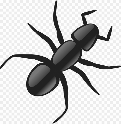 ants icon clipart - ant clip art PNG files with no background free
