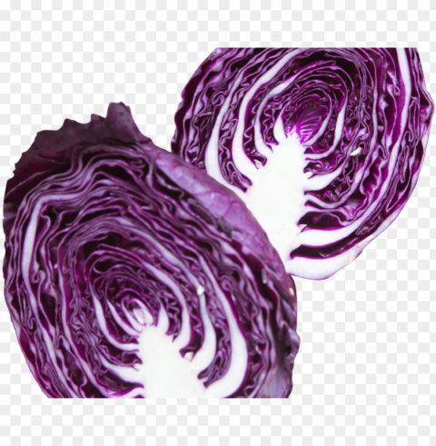 apa cabbage purple - purple cabbage cabbage PNG Image Isolated on Clear Backdrop