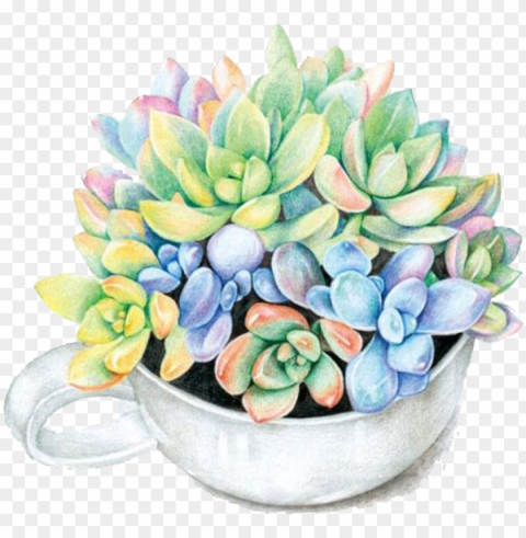 aper colored pencil succulent plant watercolor painting - flower pot paper ClearCut Background PNG Isolated Element