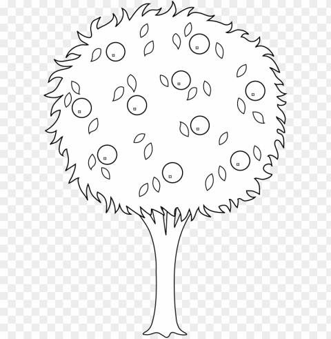 apple drawing banana - orange tree black and white PNG Image Isolated with Transparency