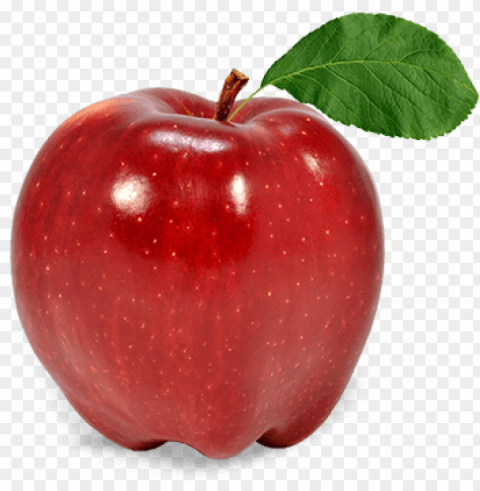 apple fruit - apple fruit Transparent PNG Isolated Illustrative Element