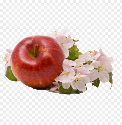 apple image - apple Isolated Artwork in Transparent PNG Format