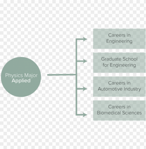 applied track job opportunities - diagram HD transparent PNG