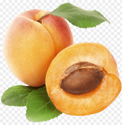 apricots clipart best web clipart - rex orange county apricot Isolated PNG Graphic with Transparency