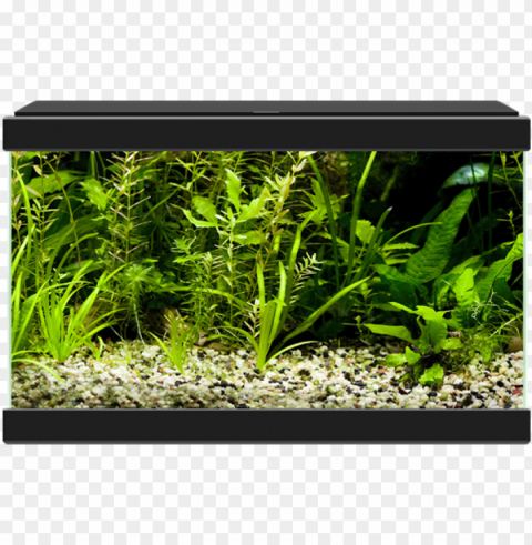 aqua - ciano aqua 20 aquarium with led light white PNG without background PNG transparent with Clear Background ID 405f5242