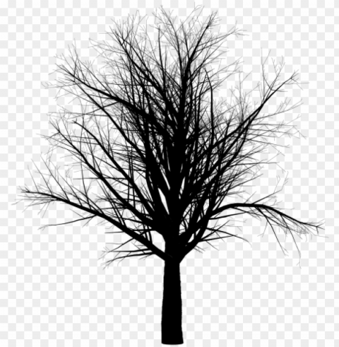 arbol blanco y negro Isolated Design Element in HighQuality PNG