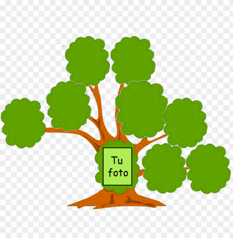 arbol genealog de tu familia Transparent Background Isolation in PNG Format PNG transparent with Clear Background ID 6b53aa64