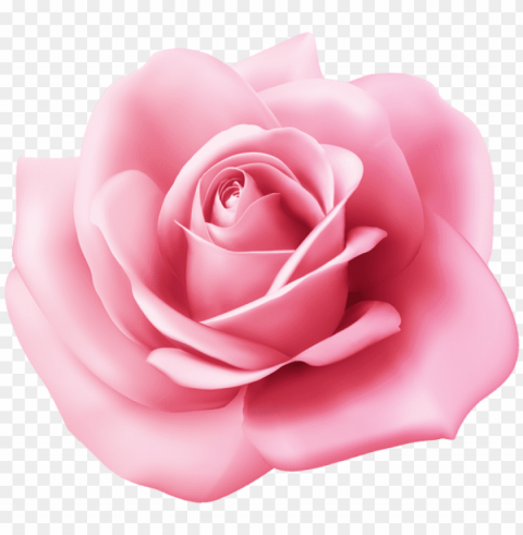 arden roses HighQuality Transparent PNG Isolated Element Detail PNG transparent with Clear Background ID 0538ecdb