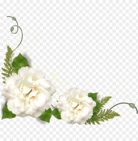 ardenia flowers transparent image - rose white corner PNG images without subscription