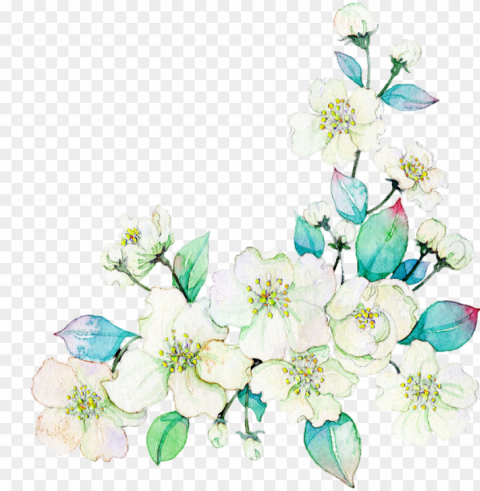 ardenia vector watercolor - flower PNG with transparent bg PNG transparent with Clear Background ID c733e79c