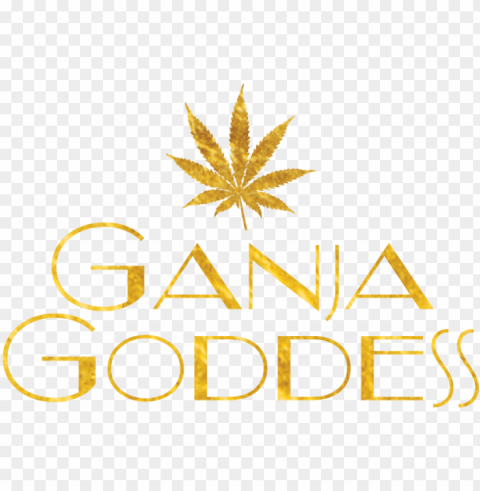 are you 21 or older - goddess PNG images with no watermark
