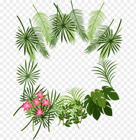 arecaceae leaf tropics plant decoration box transprent - tropical leaves border HighQuality Transparent PNG Object Isolation