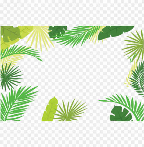 arecaceae text branch leaf - palm leaf border PNG images for editing