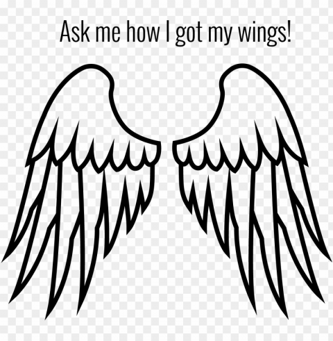 ark angel wings - cartoon angel wing Transparent Background PNG Isolated Illustration