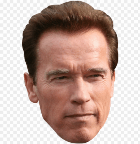 arnold schwarzenegger face graphic library download - arnold schwarzenegger face Isolated Character in Clear Background PNG