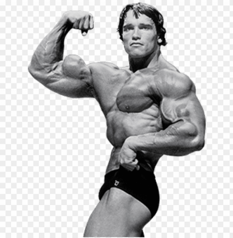 arnold schwarzenegger file - arnold PNG graphics with alpha transparency broad collection