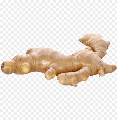aromatic pungent and also spicy ginger provides a - fresh ginger ginger hd PNG files with no background wide assortment