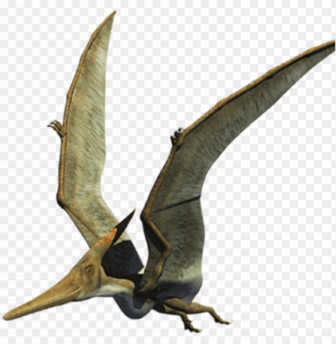 arque de dinosaurios dinosaurios animatronics - pteranodon Transparent PNG images wide assortment