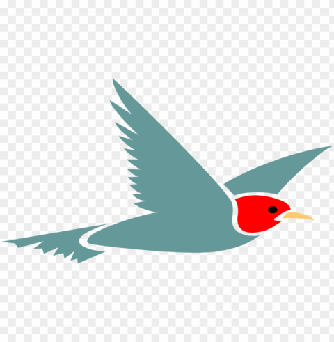 arrot clipart background - clip art flying bird High-resolution transparent PNG images assortment
