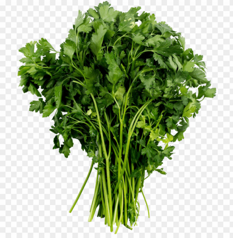 arsley - vegetables top view PNG images with clear backgrounds