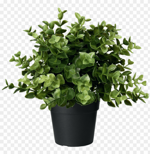 artificial potted plant oregano image - ikea artificial plant PNG images with no background necessary PNG transparent with Clear Background ID fd9a458e