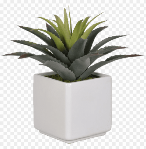 artificial star succulent desk top plant in pot - succulent in pot PNG transparent designs