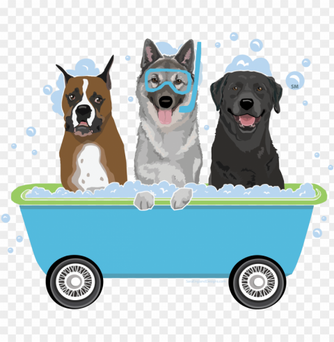 ashley's waggin' wheels mobile pet grooming - dog groomi Transparent PNG images bundle