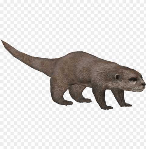 asianotterludo - zoo tycoon otter Isolated PNG on Transparent Background