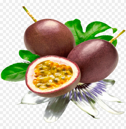 assion fruit seed PNG no watermark