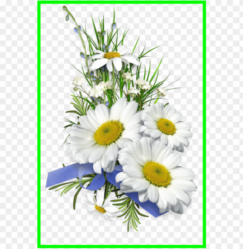 aster flower clipart - tube bouquet de marguerite PNG images with transparent layering