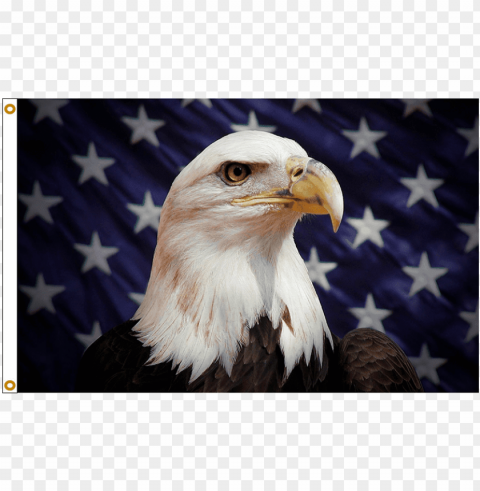 atriotic stars & stripes american eagle flag - eagle fla HighResolution Transparent PNG Isolated Item