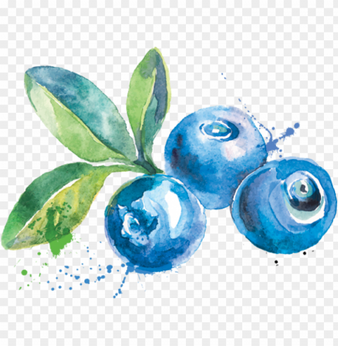 attainable - blueberry watercolor Transparent PNG graphics complete collection