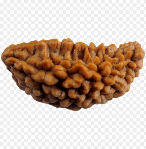 atural eka 1 mukhi rudraksha sinks in water with lab - ek mukhi rudraksha Isolated Subject in HighResolution PNG PNG transparent with Clear Background ID 4f2cd0f1
