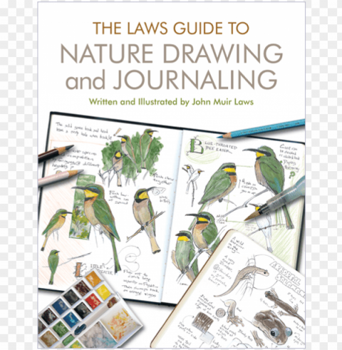ature drawing and journaling - laws guide to nature drawing and journaling paperback Transparent PNG Isolated Illustrative Element