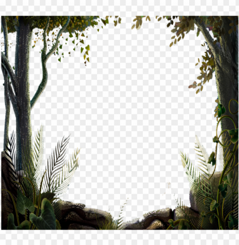 ature tree forest border vector tree nature design - nature tree border desi PNG images with alpha transparency free