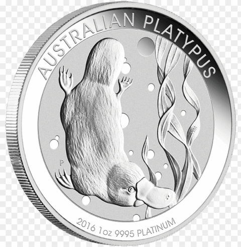 australian platypus coi PNG for social media